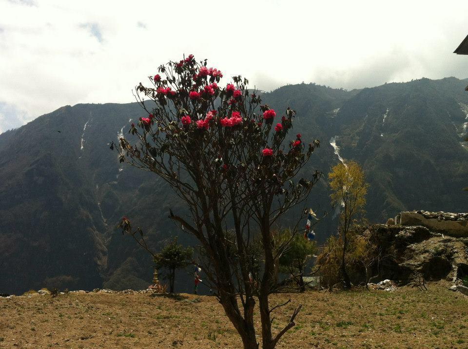 Hotel Namche Namche Bazar ภายนอก รูปภาพ